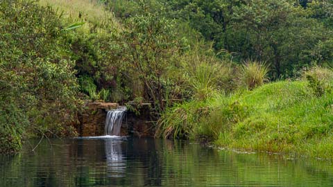 Misty Mountain - Walking Trails & Birding