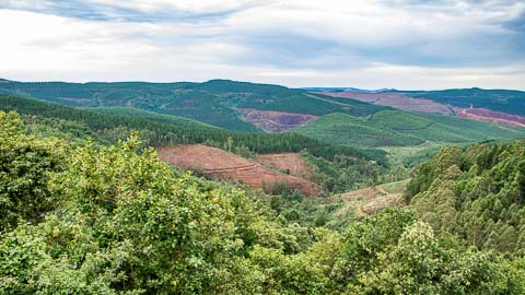 Misty Mountain - Walking Trails & Birding