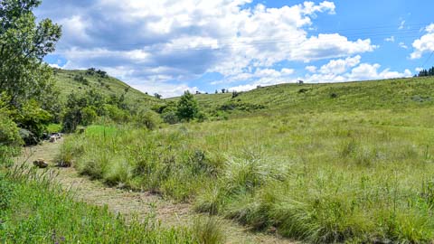 Misty Mountain - Walking Trails & Birding