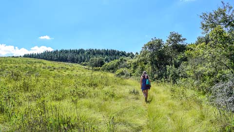 Misty Mountain - Walking Trails & Birding