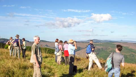 Misty Mountain - Walking Trails & Birding