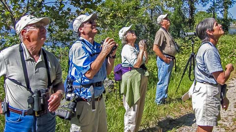 Misty Mountain - Walking Trails & Birding