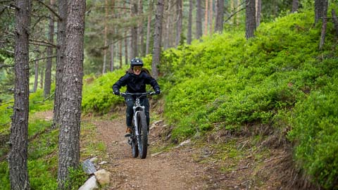 Misty Mountain - Mountain Biking