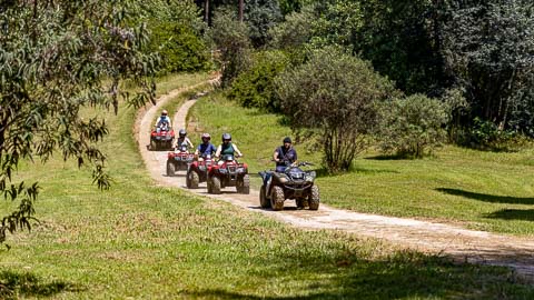 Misty Mountain - Guided Quad Biking