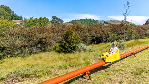 Misty Mountain On-Site Activities, Toboggan, Quad Bikes