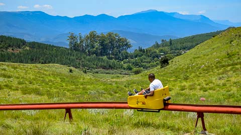 Misty Mountain - Long Tom Toboggan