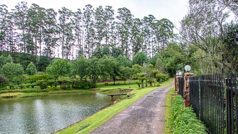 Misty Mountain - Gardens