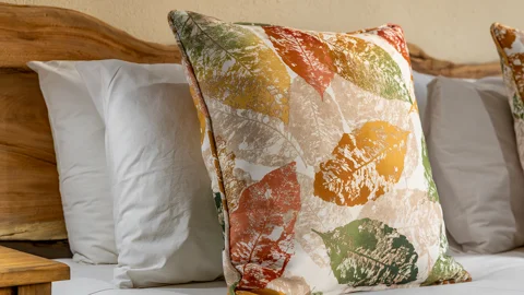 General Accommodation | Misty Mountain