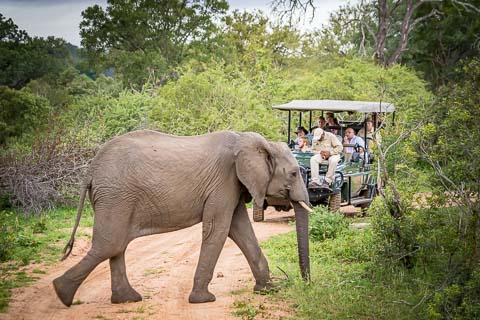 Kruger National Park